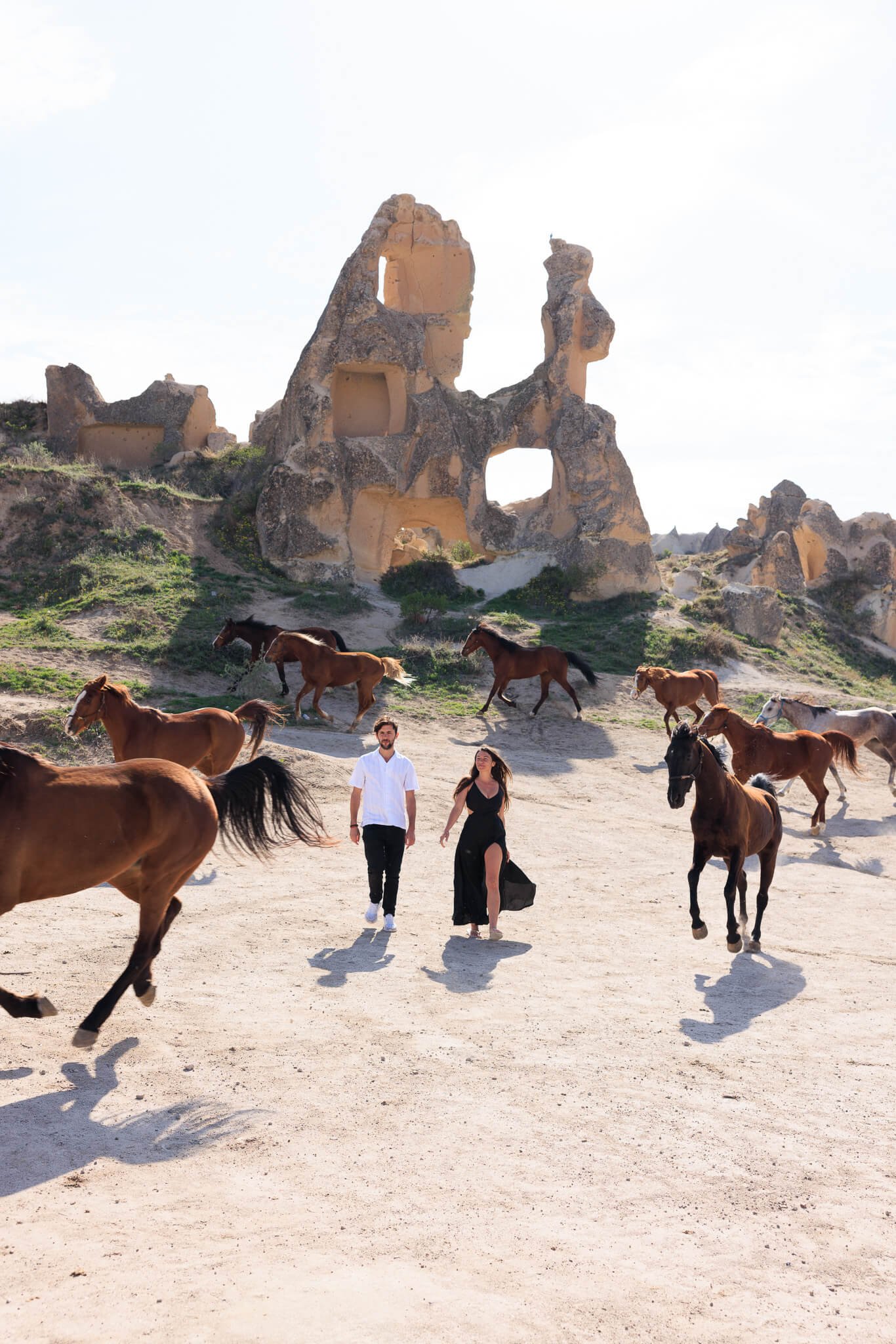 Running Horse Photos